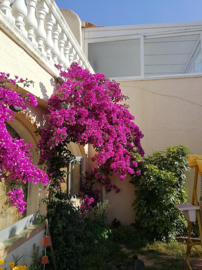 Villetta Da Carla Castello  D'Empuries Exterior photo